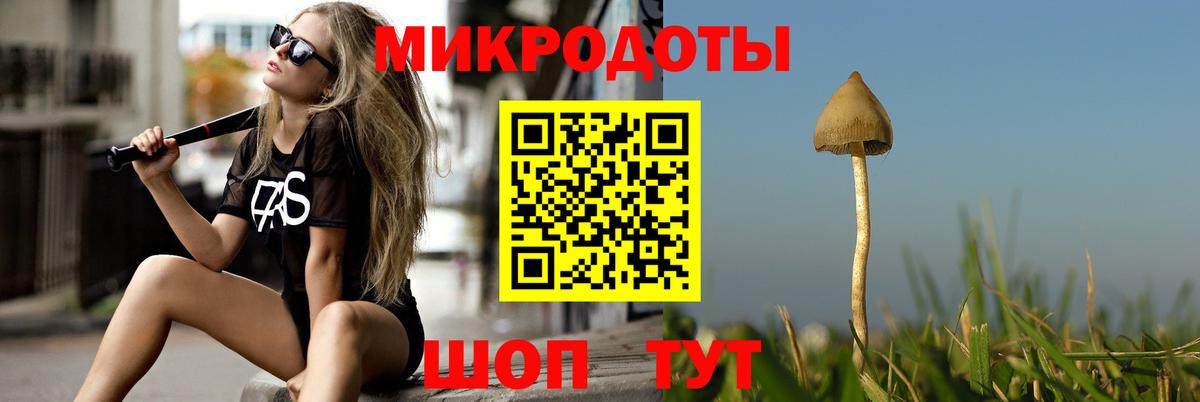 Карпинск  Псилоцибиновые грибы мухоморы  закладка  Вход с VPN 