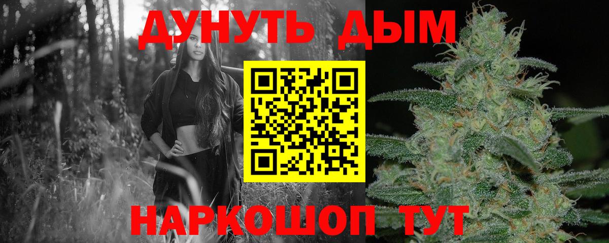 Канабис сатива Карпинск